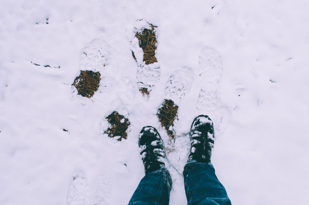 Salomon X Ultra Low II GTX Hiking Shoes in snow