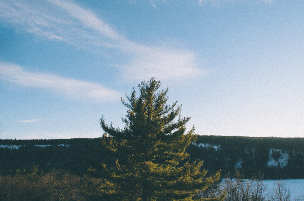 Solitary Evenings at Devils Lake State Park