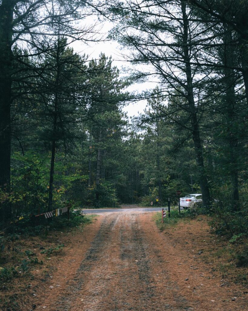 Backroads at Black River State Forest