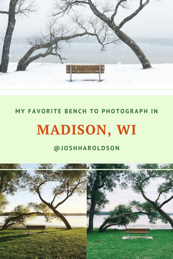 My favorite bench to photograph in Madison, WI